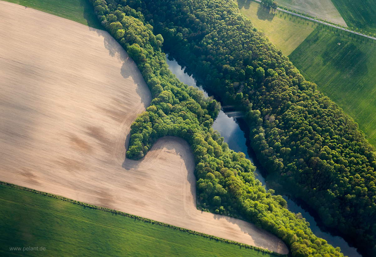 Aerial view of fields and forest