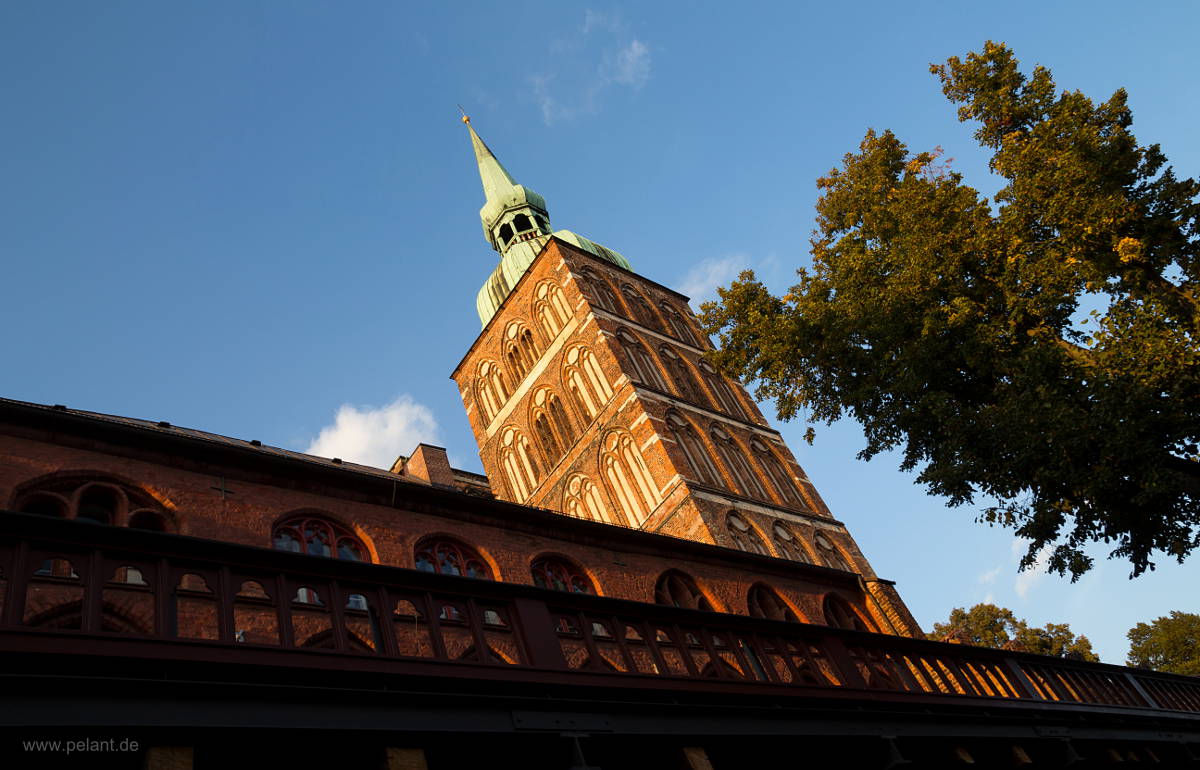 Kirche St. Nikolai in Stralsund, Kirchturm im Abendlicht