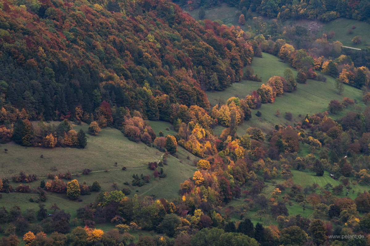 autumn forest at the edge of the Schwbische Alb