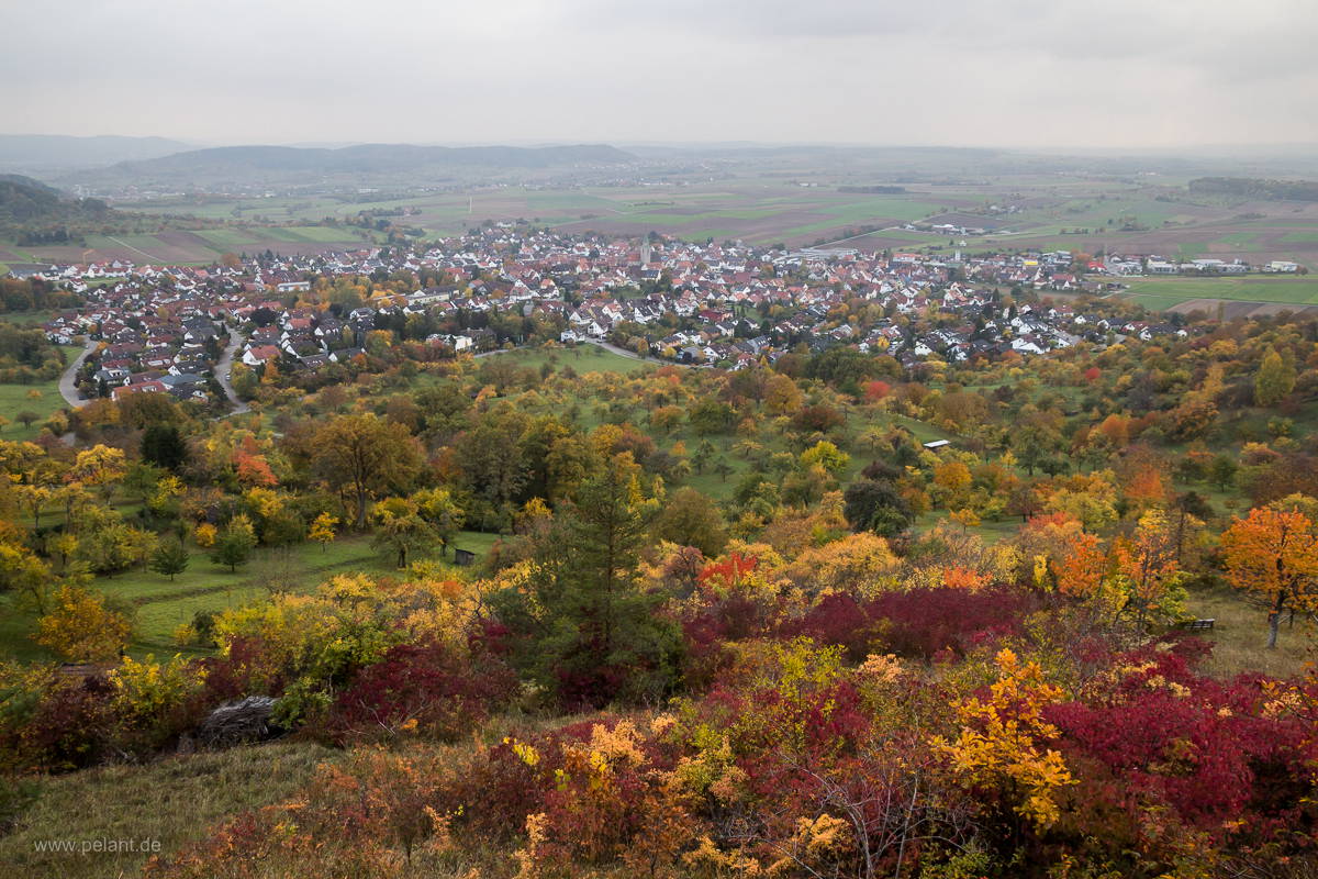 view over Ammerbuch-Entringen in autumn