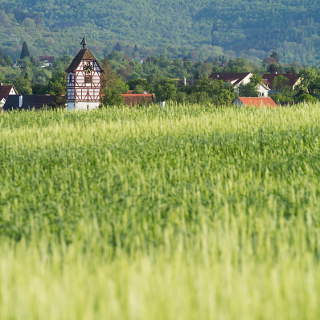 Blick auf Nehren