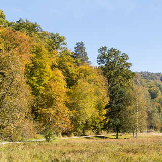 Herbst im Groen Goldersbachtal bei dem Soldatengrab im Schnbuch