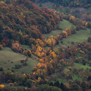 autumn forest at the edge of the Schwbische Alb