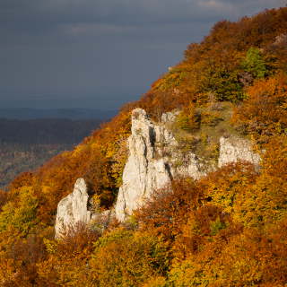 rocks at the edge of the Schwbische Alb in autumn