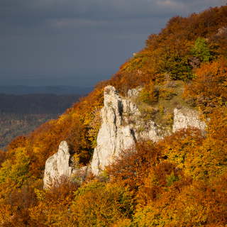 Felsen am herbstlichen Albtrauf