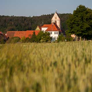 Blick ber ein Getreidefeld auf den Kirchturm von Tbingen-Weilheim