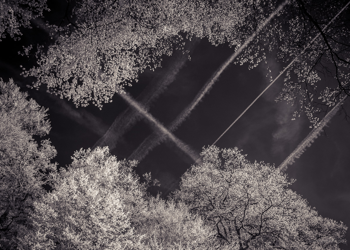 infrared photograph of contrails over the spring forest