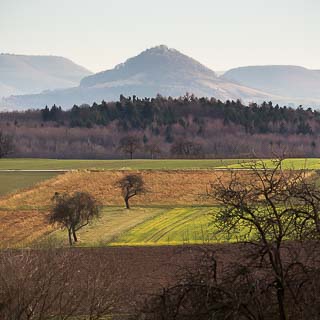 Blick ber Felder in Winterfarben auf die Achalm