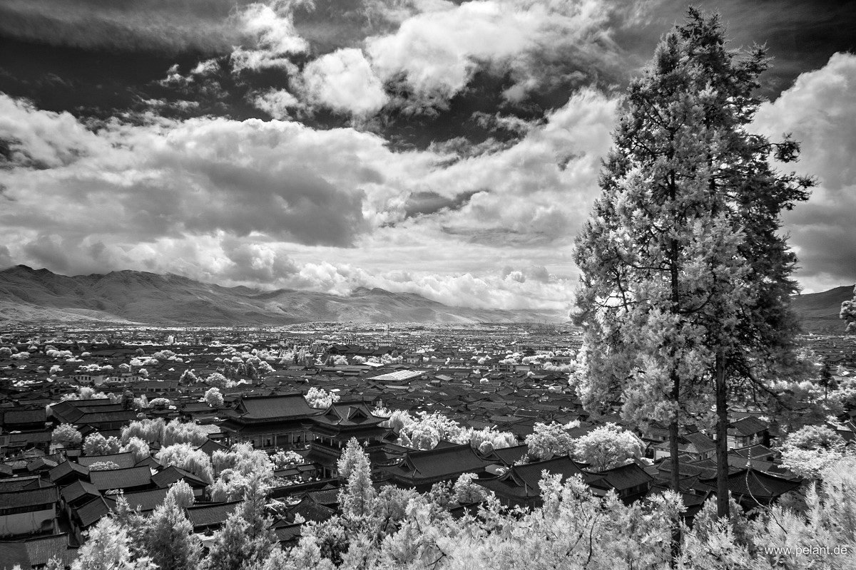 greyscale infrared: old town of Lijiang with Mufu (palace)