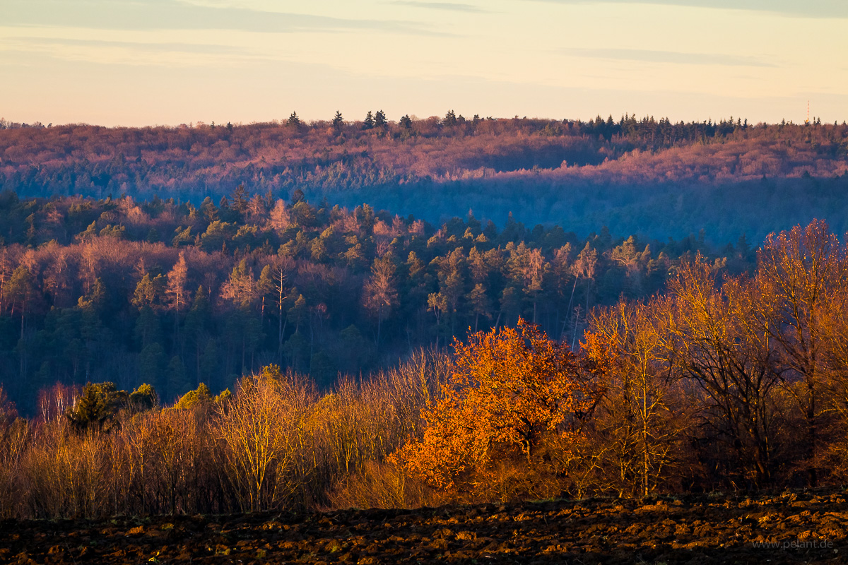 Blick ber die Einschnitte des Schaichtals und Aichtals im Schnbuch im winterlichen Abendlicht