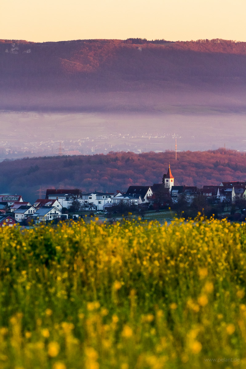 Altenriet im Abendlicht mit Blick auf den Albtrauf