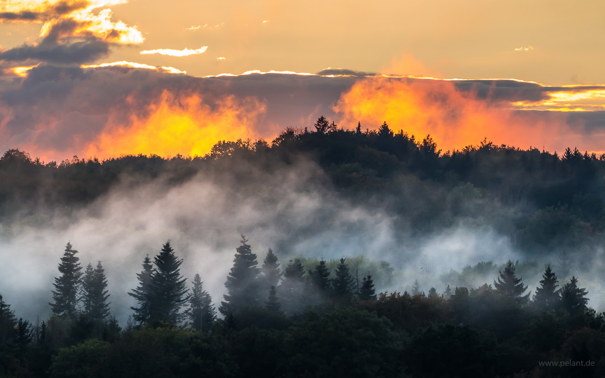 Feuerrot leuchtende Nebelschwaden ber dem Waldgebiet Schnbuch am Abend