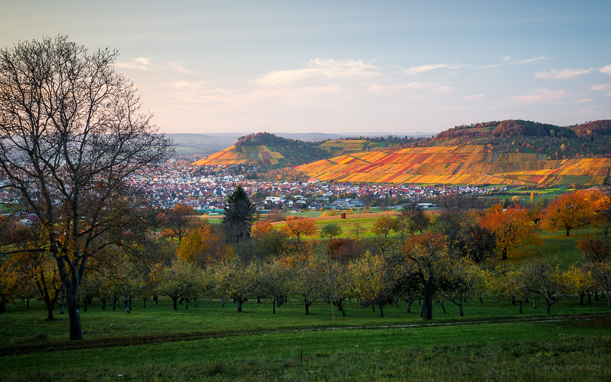 Blick ber Streuobstwiesen des Ermstals auf die Metzinger Weinberge im Herbst