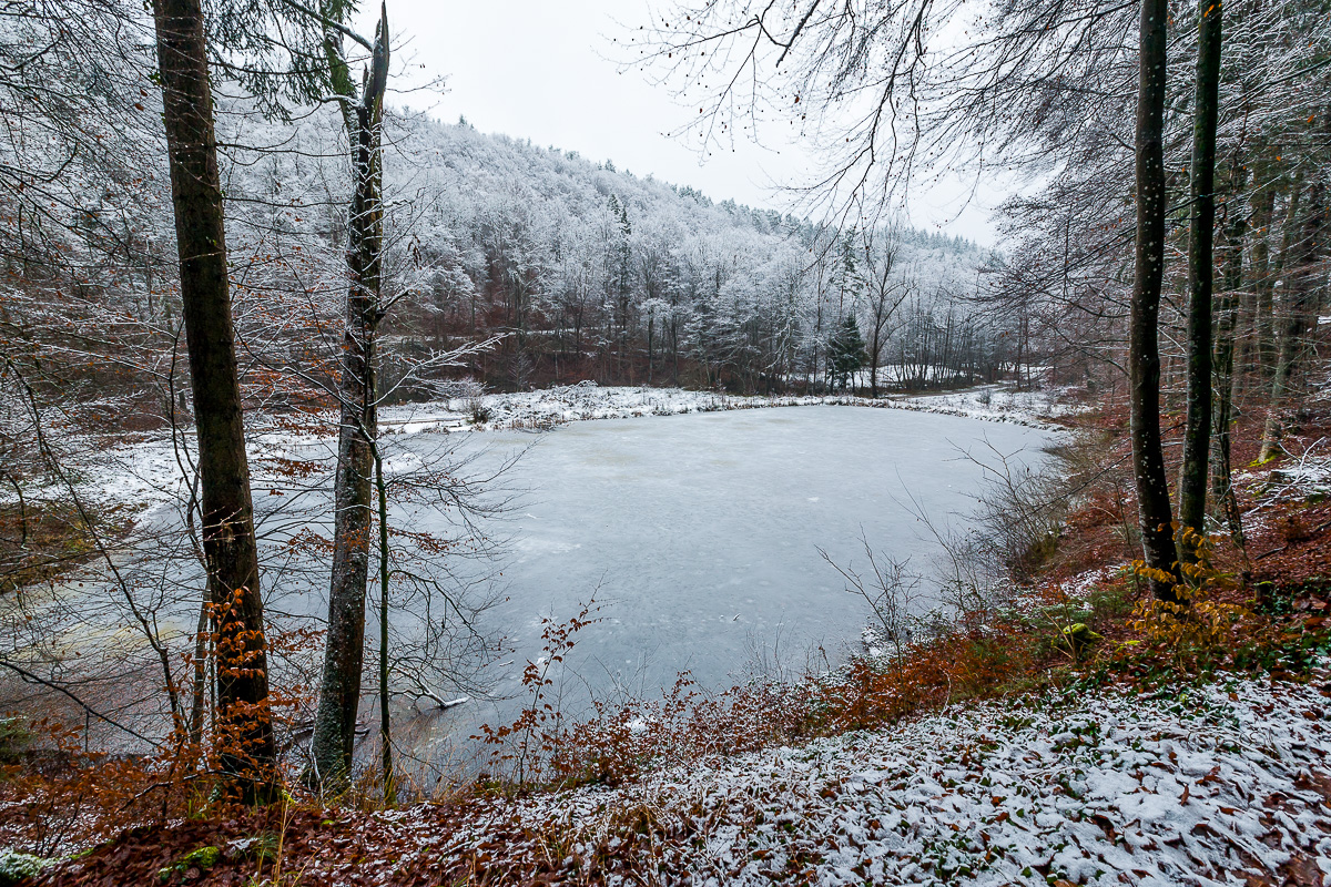 Steigweiher im Schaichtal im Winter