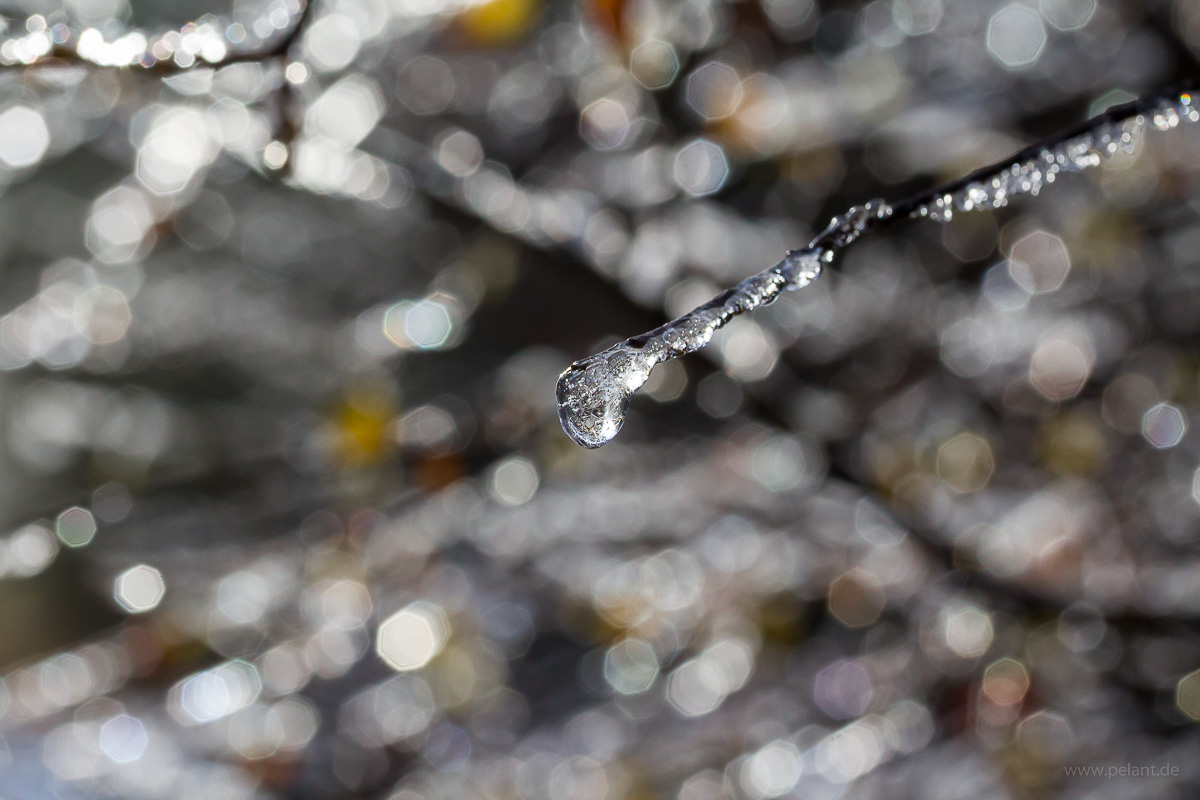 ice and water drops sparkle against the sun