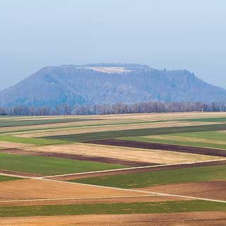 Blick ber Felder auf der Albflche zum Farrenberg