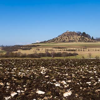 Blick ber steinigen Acker zur Salmendinger Kapelle auf dem Kornbhl auf der Schwbischen Alb