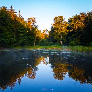 Steigweiher (lake) in the Schaichtal in morning light