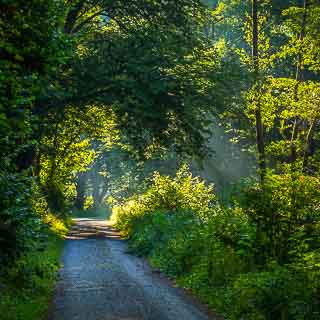 Weg durch das Schaichtal im Schnbuch im sommerlichen Morgenlicht