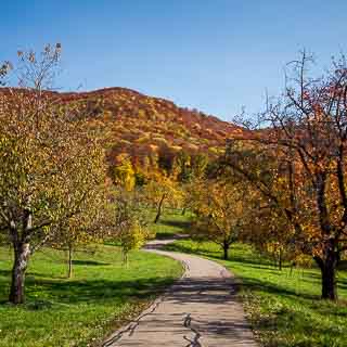 Radweg durch Streuobstwiesen im Ermstal bei Bad Urach im Herbst