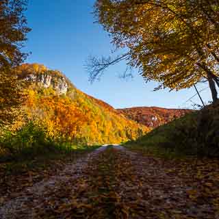 track through the Seeburger Tal valley with view of Albtrauf in autumn colours