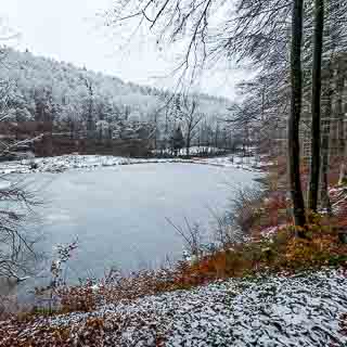 pond in Schaichtal in winter