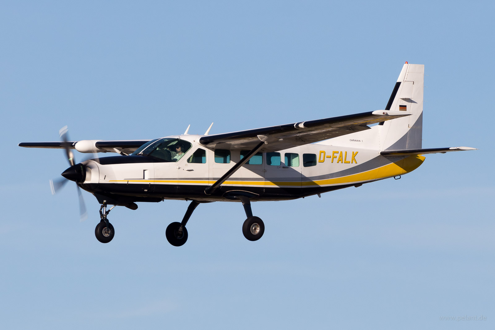 D-FALK Businesswings Cessna 208 Caravan I in Stuttgart / STR