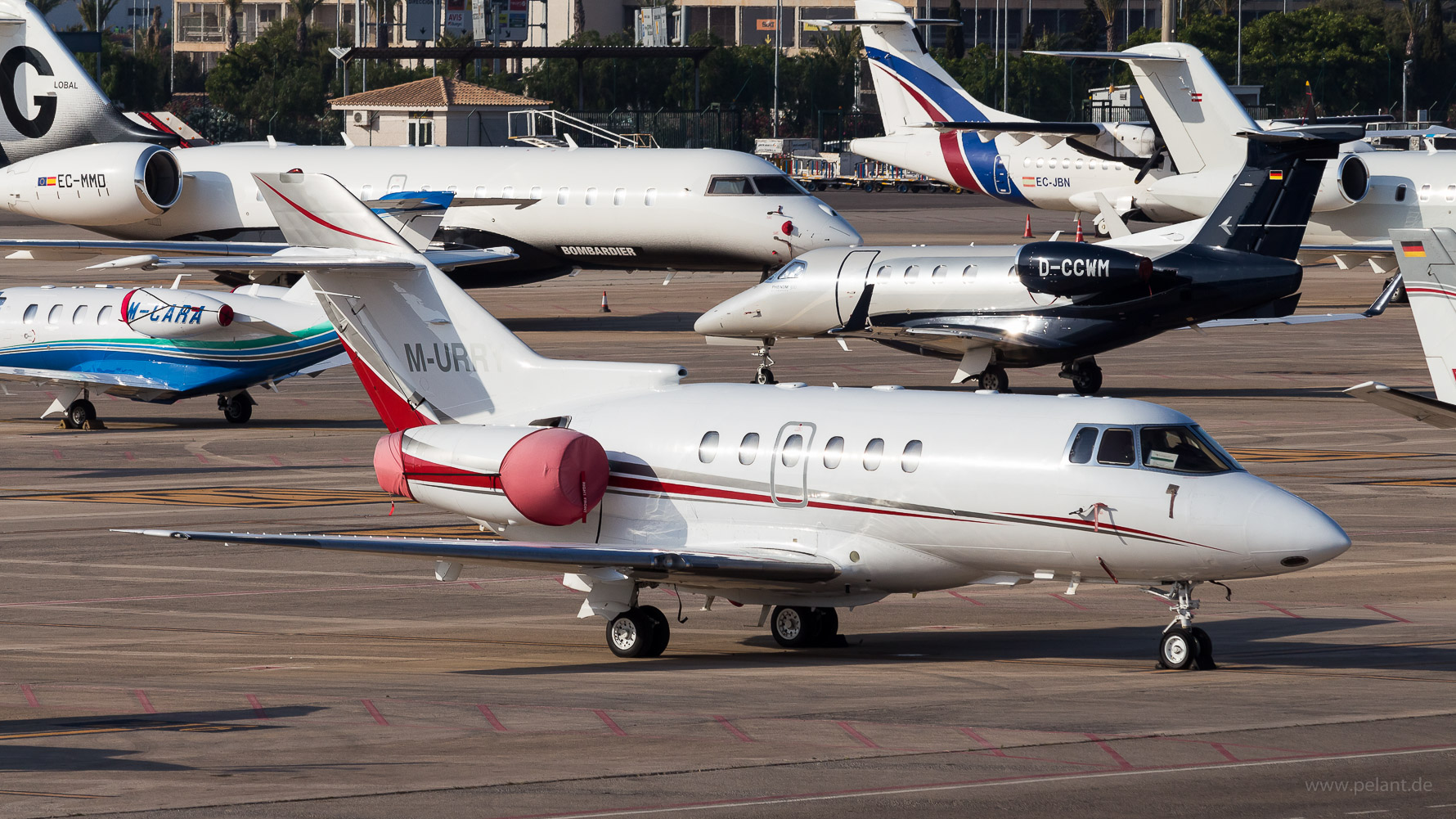 M-URRY ? Hawker 800XP in Palma de Mallorca / PMI