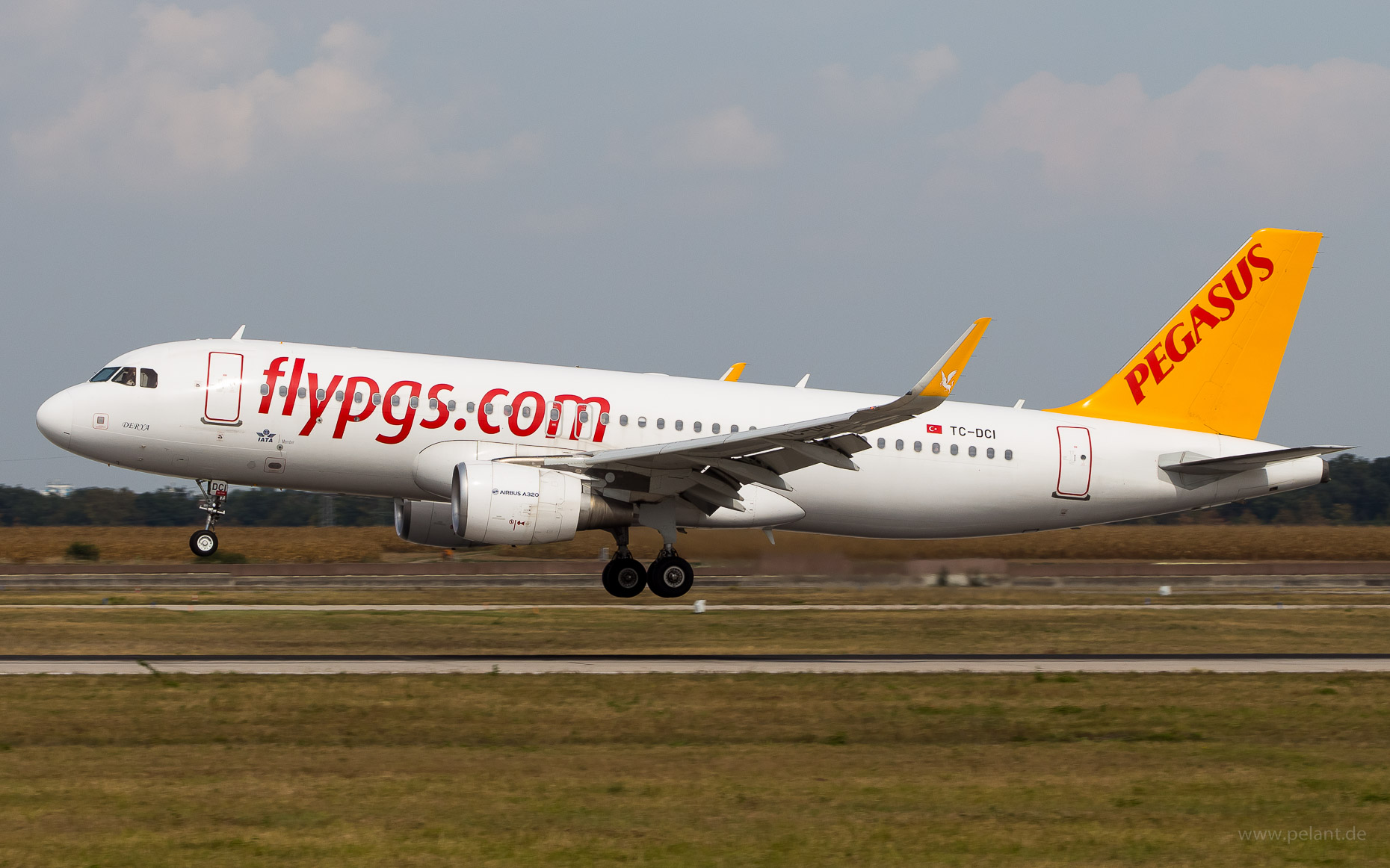 TC-DCI Pegasus Airlines Airbus A320-216 in Stuttgart / STR