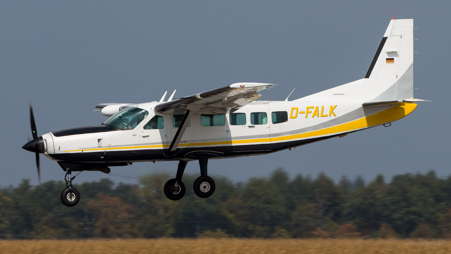 D-FALK Businesswings Cessna 208 Caravan I in Stuttgart / STR