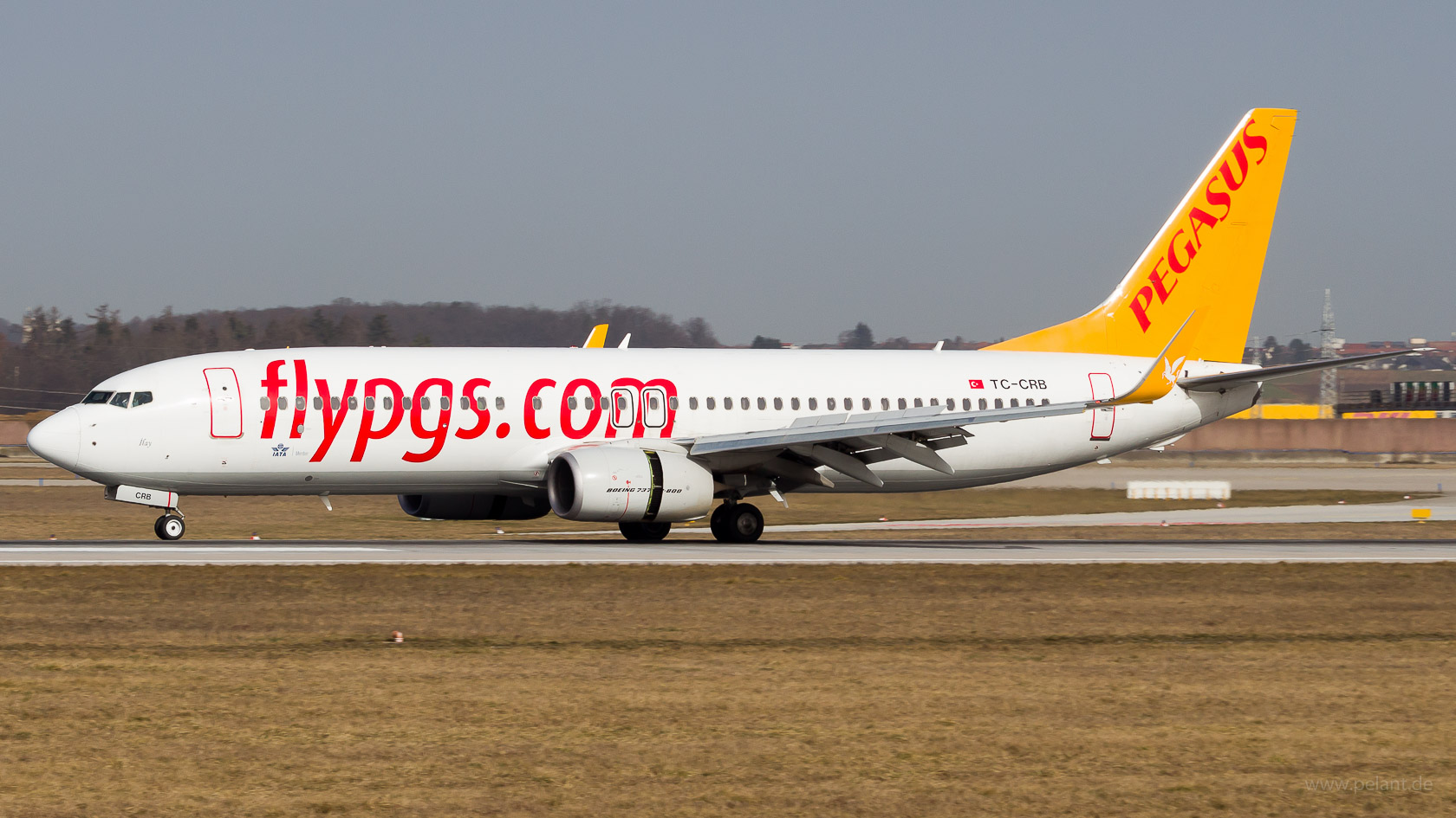 TC-CRB Pegasus Airlines Boeing 737-8AL in Stuttgart / STR