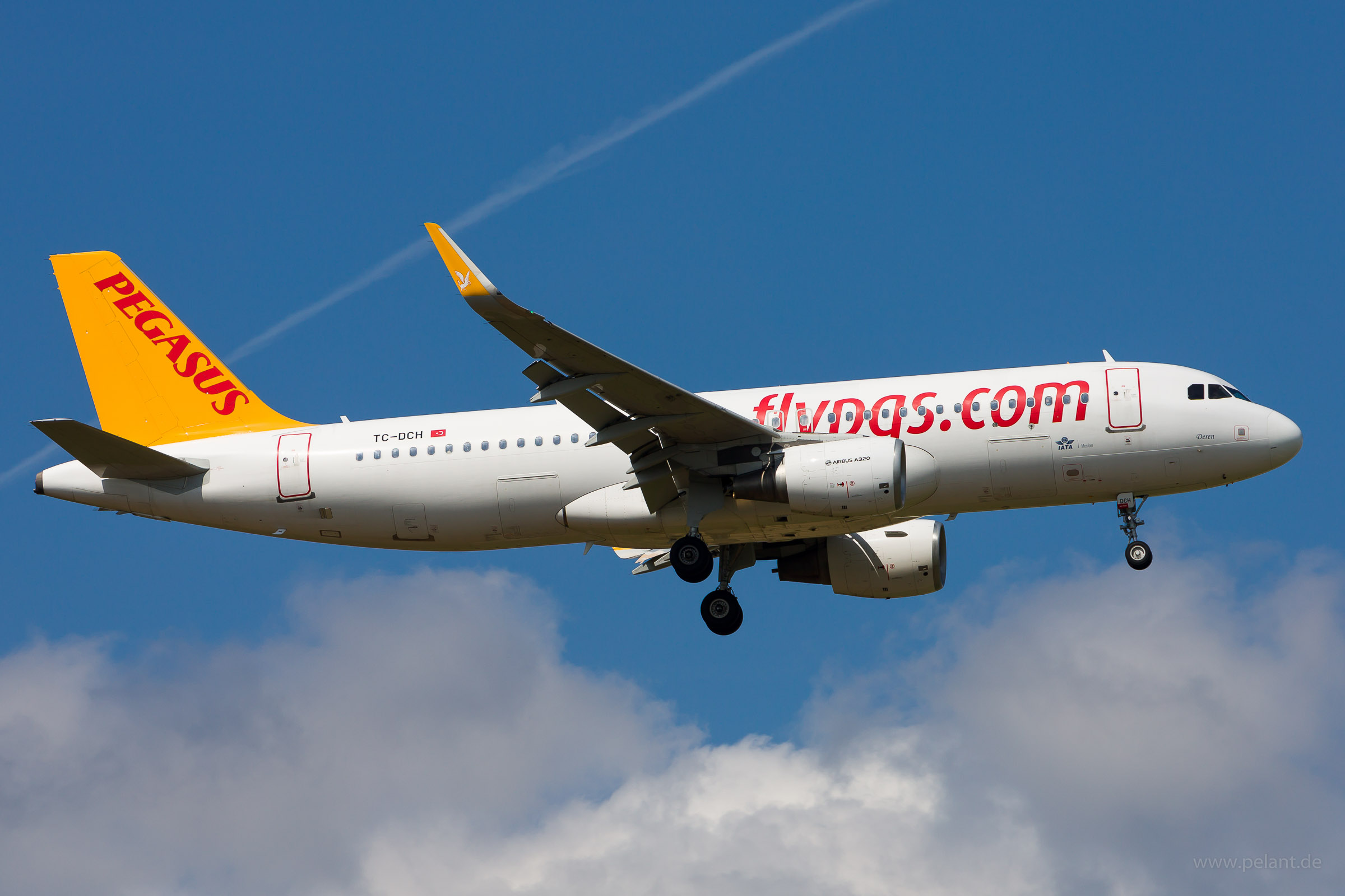 TC-DCH Pegasus Airlines Airbus A320-216 in Stuttgart / STR