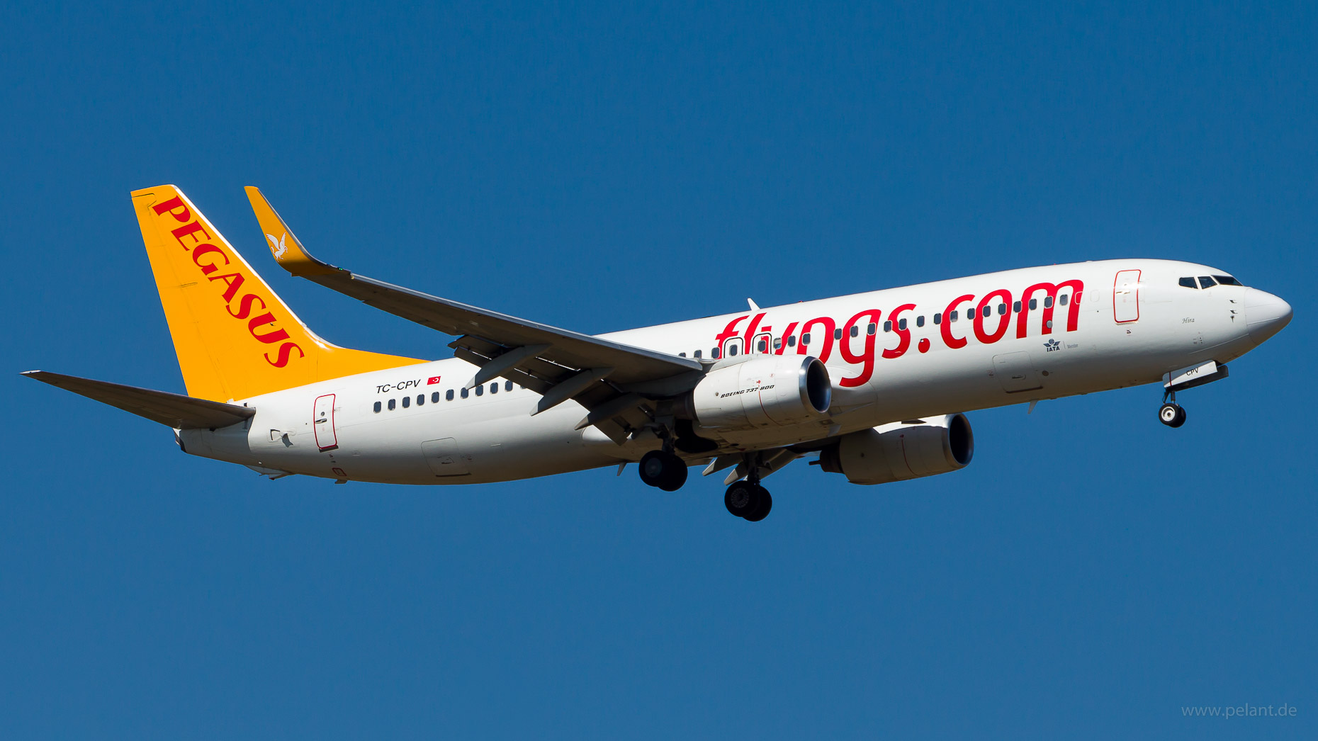 TC-CPV Pegasus Airlines Boeing 737-86J in Stuttgart / STR