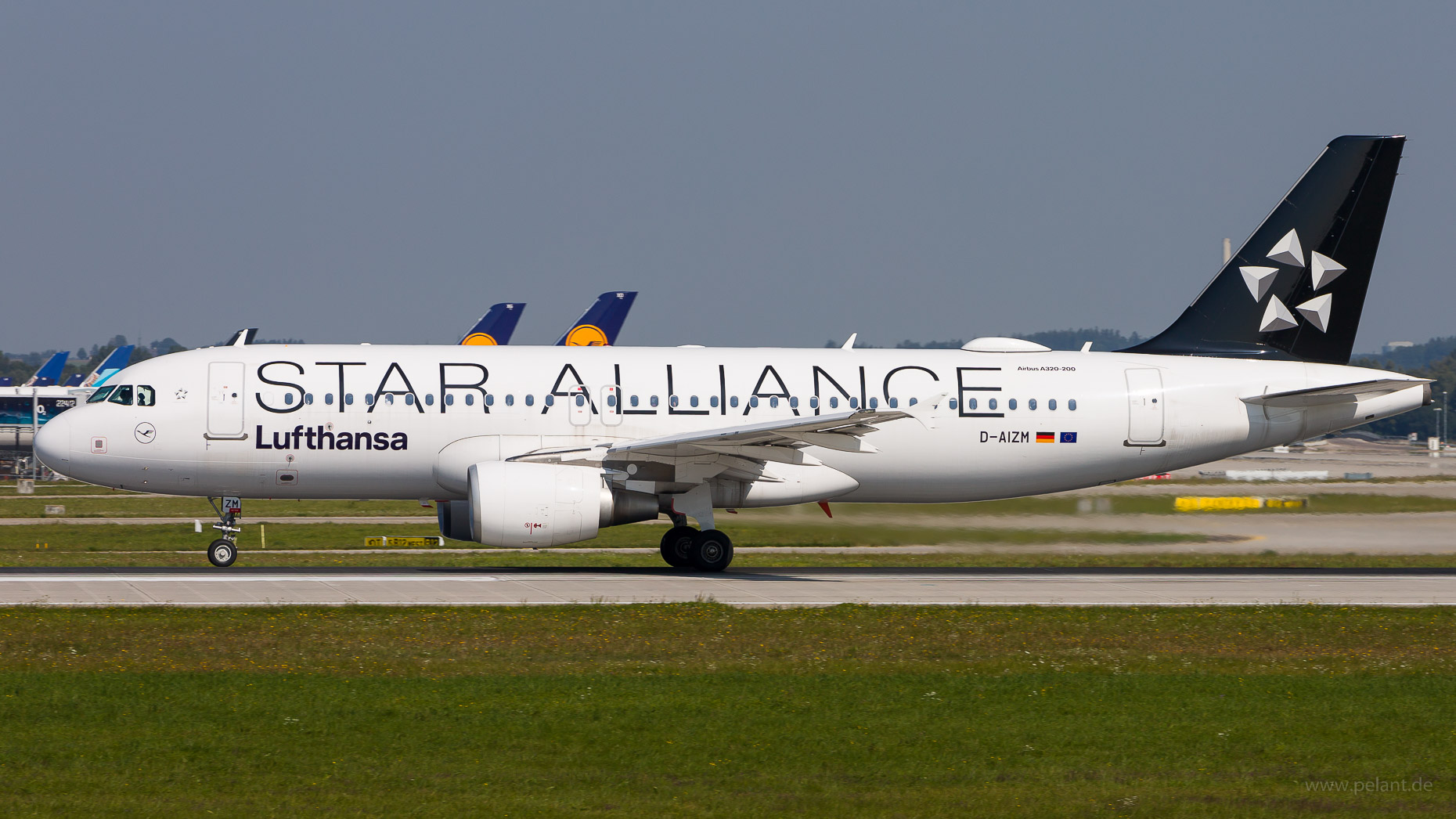 D-AIZM Lufthansa Airbus A320-214 in Mnchen / MUC (Star Alliance Livery)
