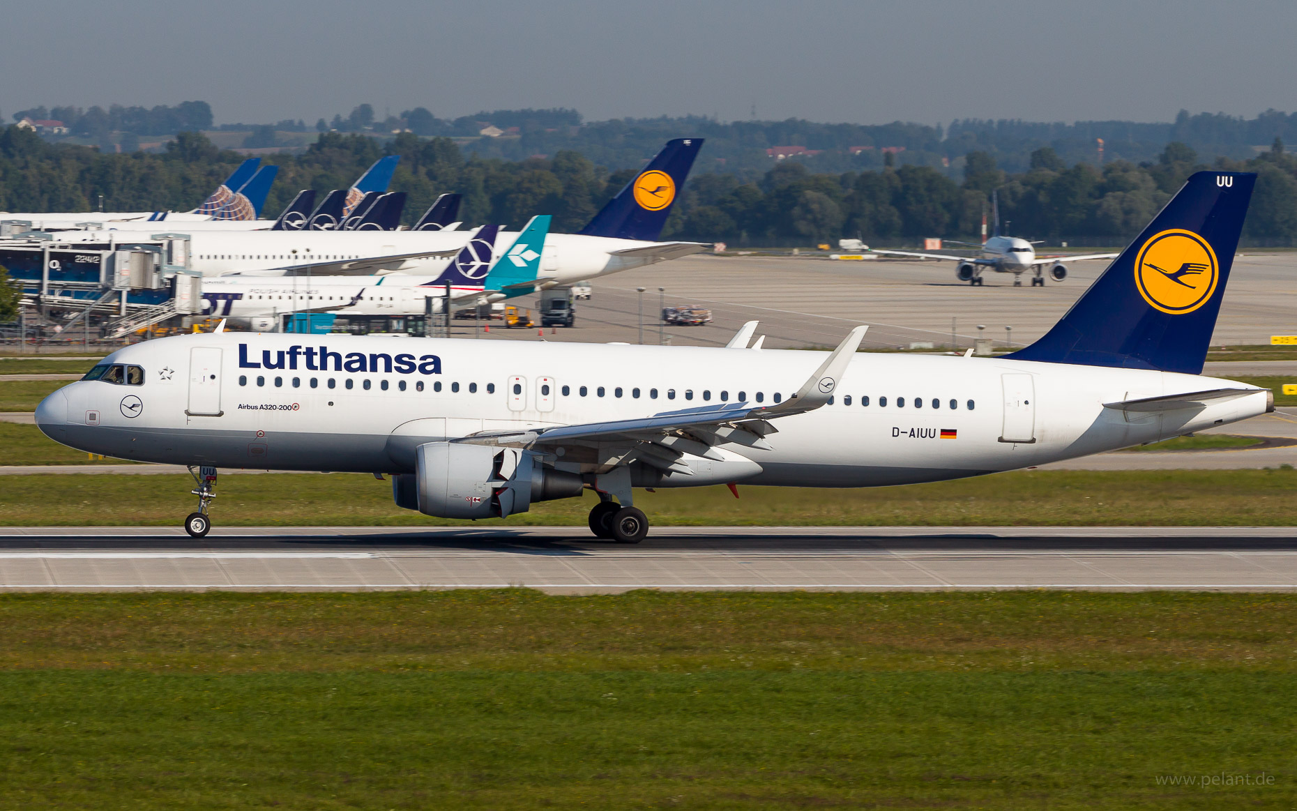 D-AIUU Lufthansa Airbus A320-214 in Mnchen / MUC