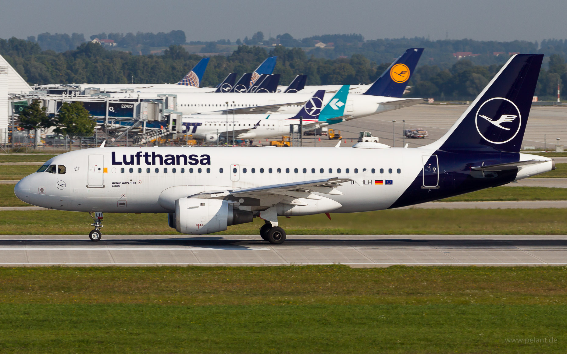 D-AILH Lufthansa Airbus A319-114 in Mnchen / MUC