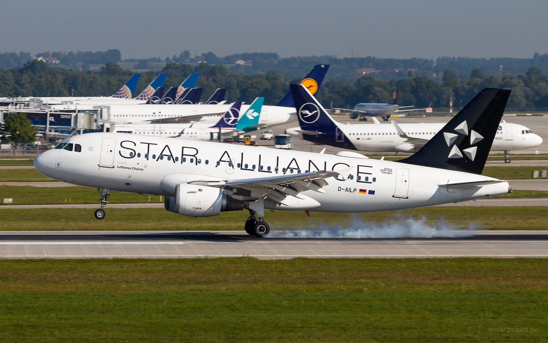 D-AILP Lufthansa CityLine Airbus A319-114 in Mnchen / MUC (Star Alliance Livery)