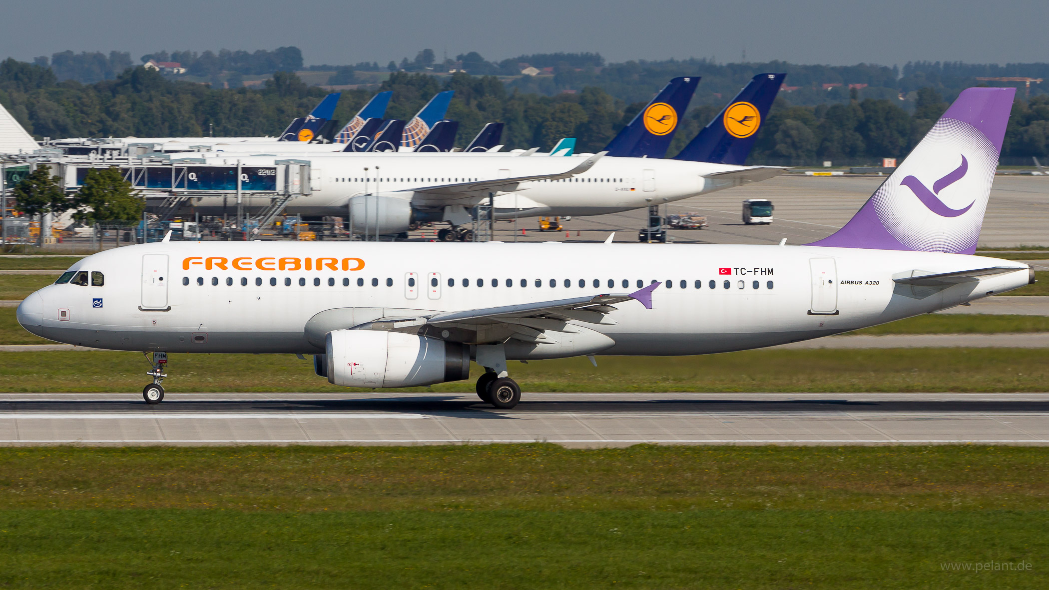 TC-FHM Freebird Airlines Airbus A320-232 in Mnchen / MUC