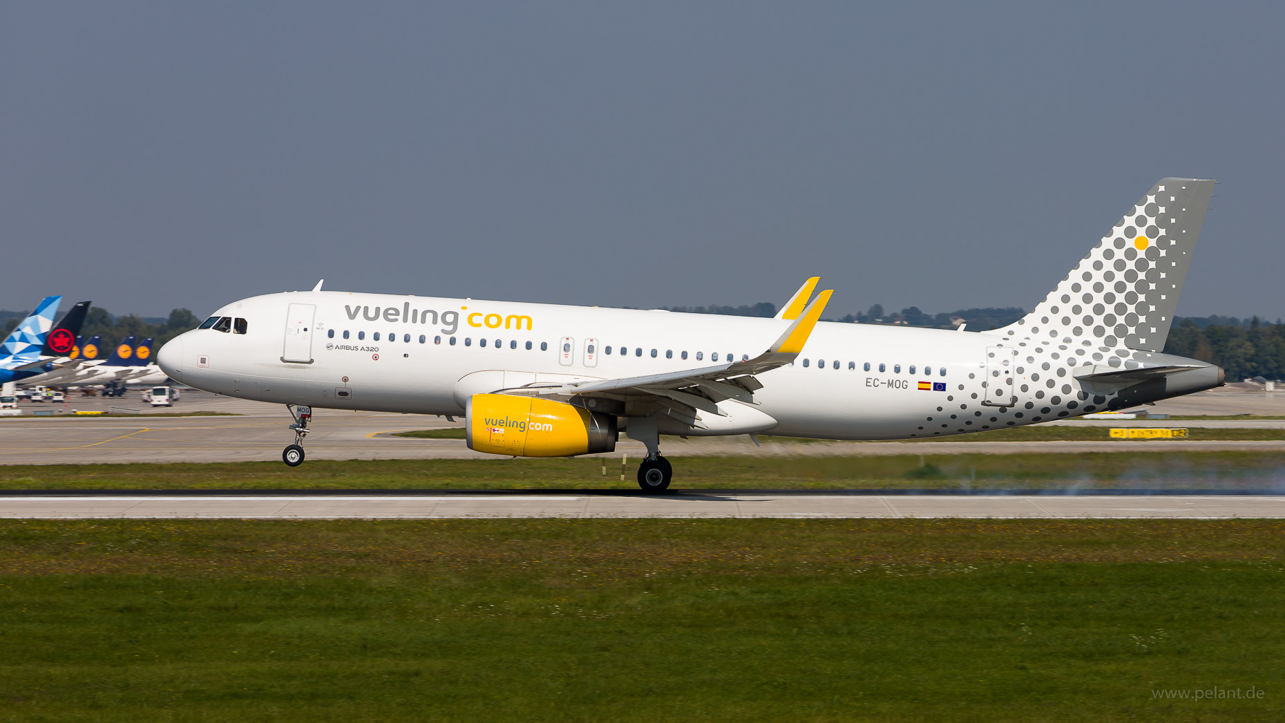 EC-MOG Vueling Airlines Airbus A320-232 in Mnchen / MUC