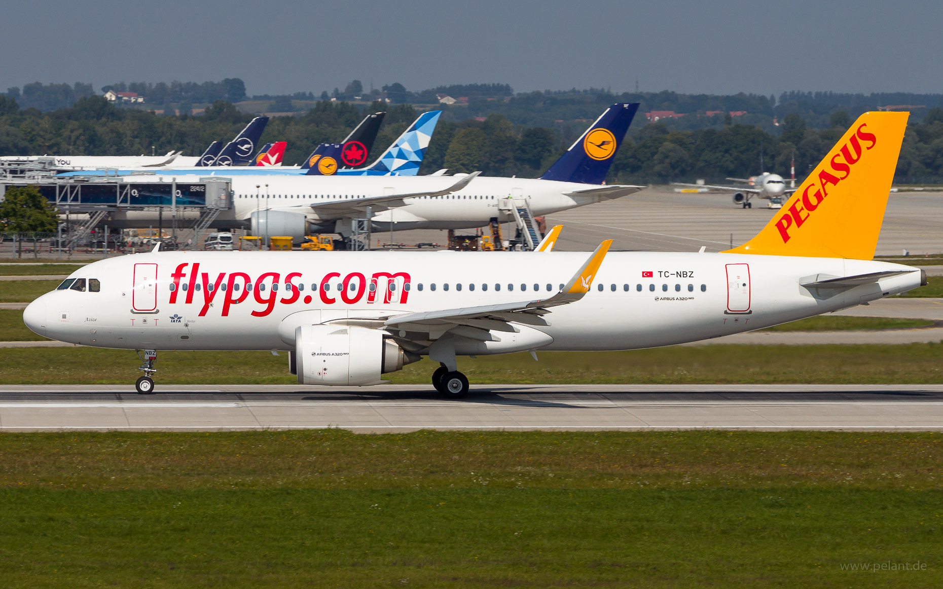 TC-NBZ Pegasus Airlines Airbus A320-251N in Mnchen / MUC