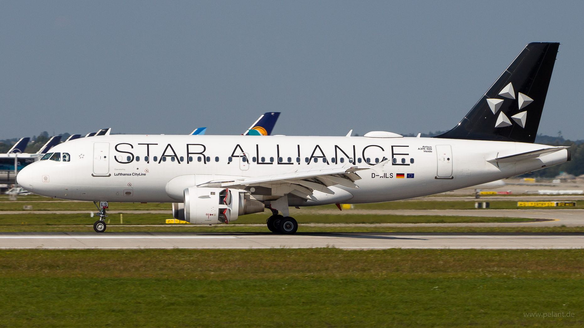D-AILS Lufthansa CityLine Airbus A319-114 in Mnchen / MUC (Star Alliance Livery)