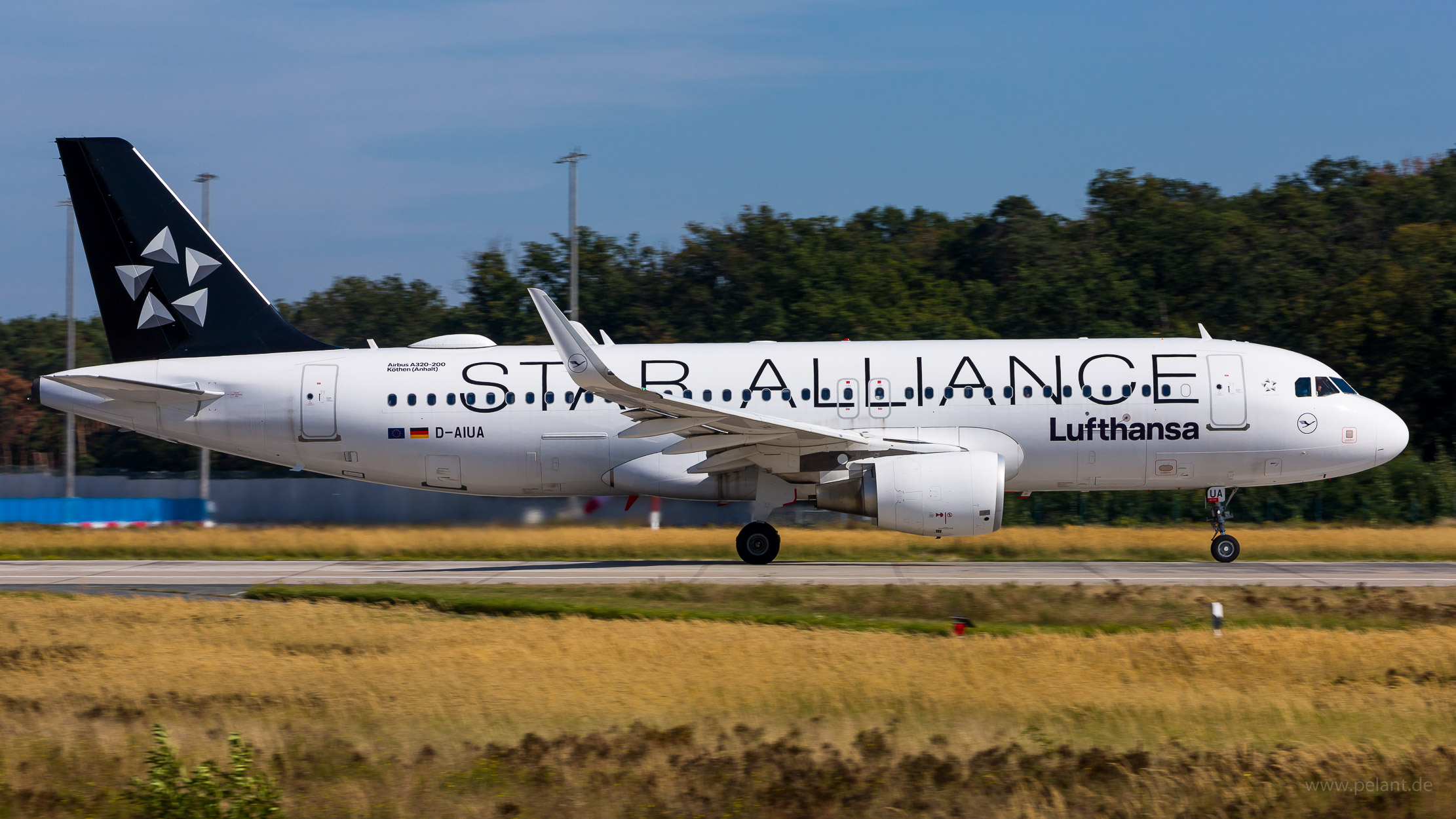 D-AIUA Lufthansa Airbus A320-214 in Frankfurt / FRA (Star Alliance Livery)