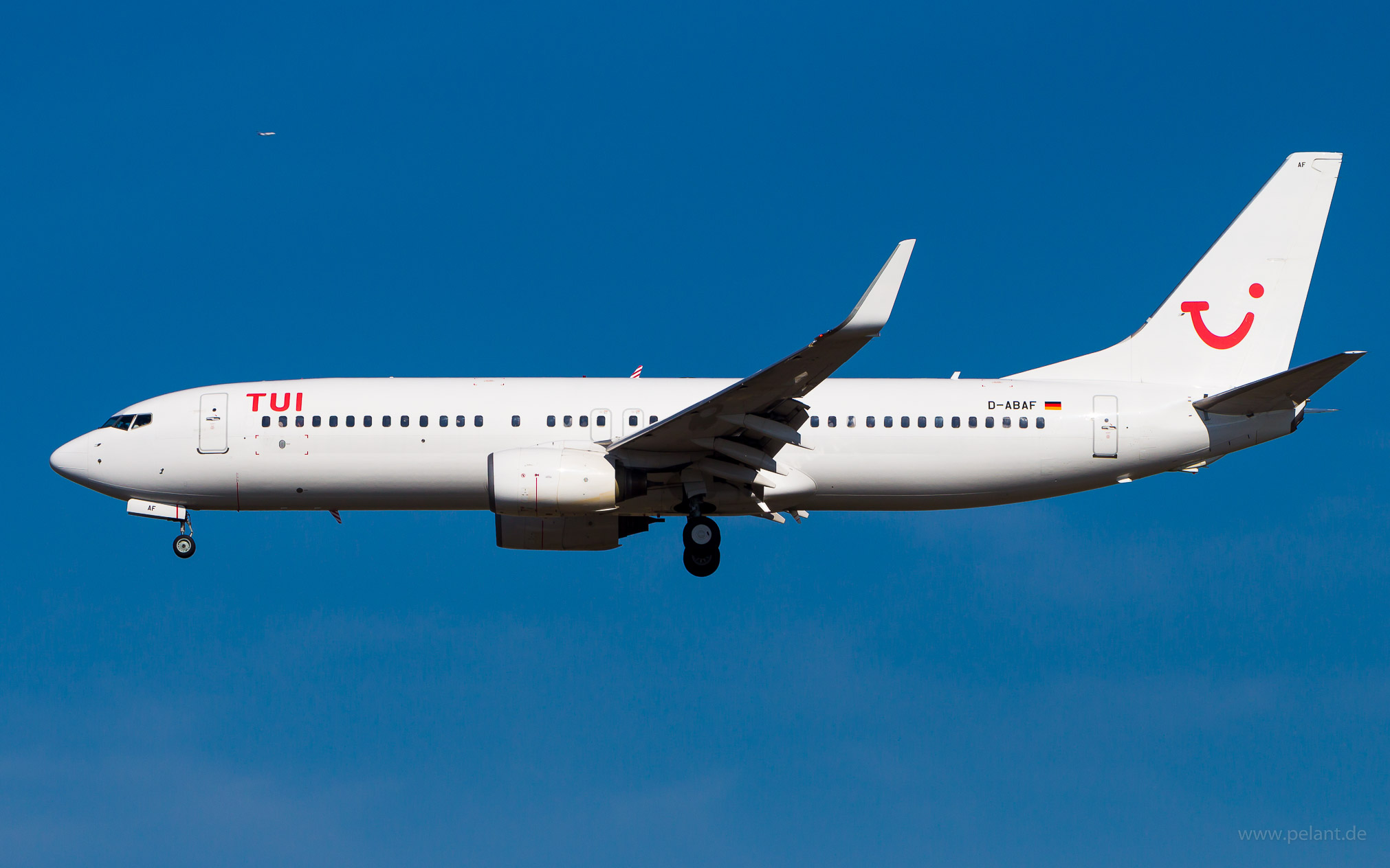 D-ABAF TUIfly Boeing 737-86J in Frankfurt / FRA
