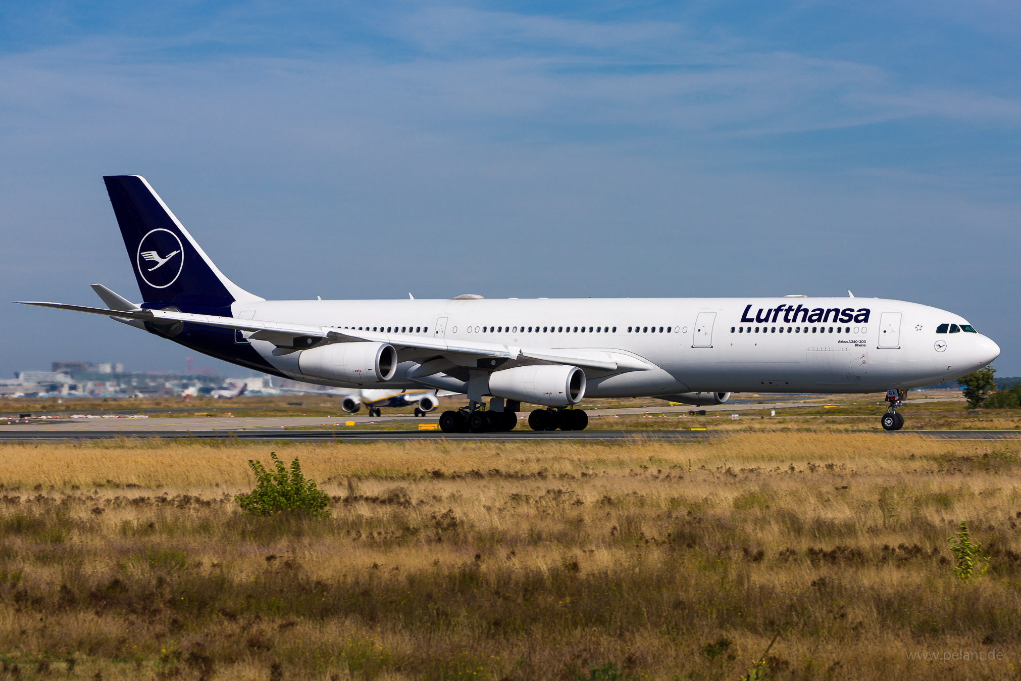 D-AIGX Lufthansa Airbus A340-313 in Frankfurt / FRA