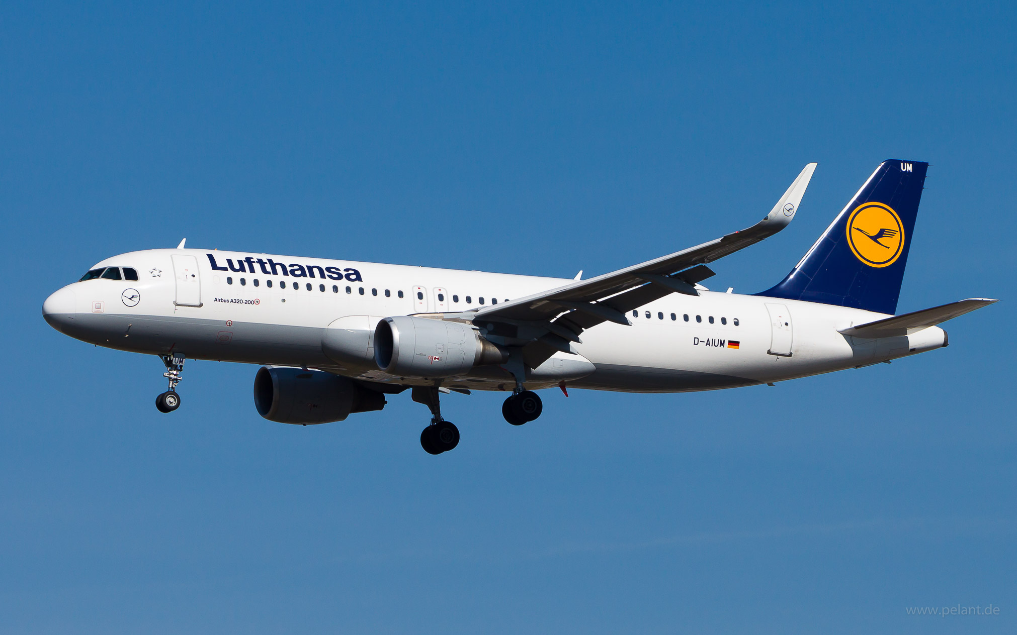 D-AIUM Lufthansa Airbus A320-214 in Frankfurt / FRA