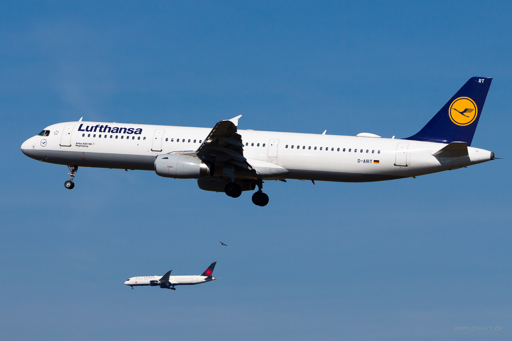 D-AIRT Lufthansa Airbus A321-131 in Frankfurt / FRA