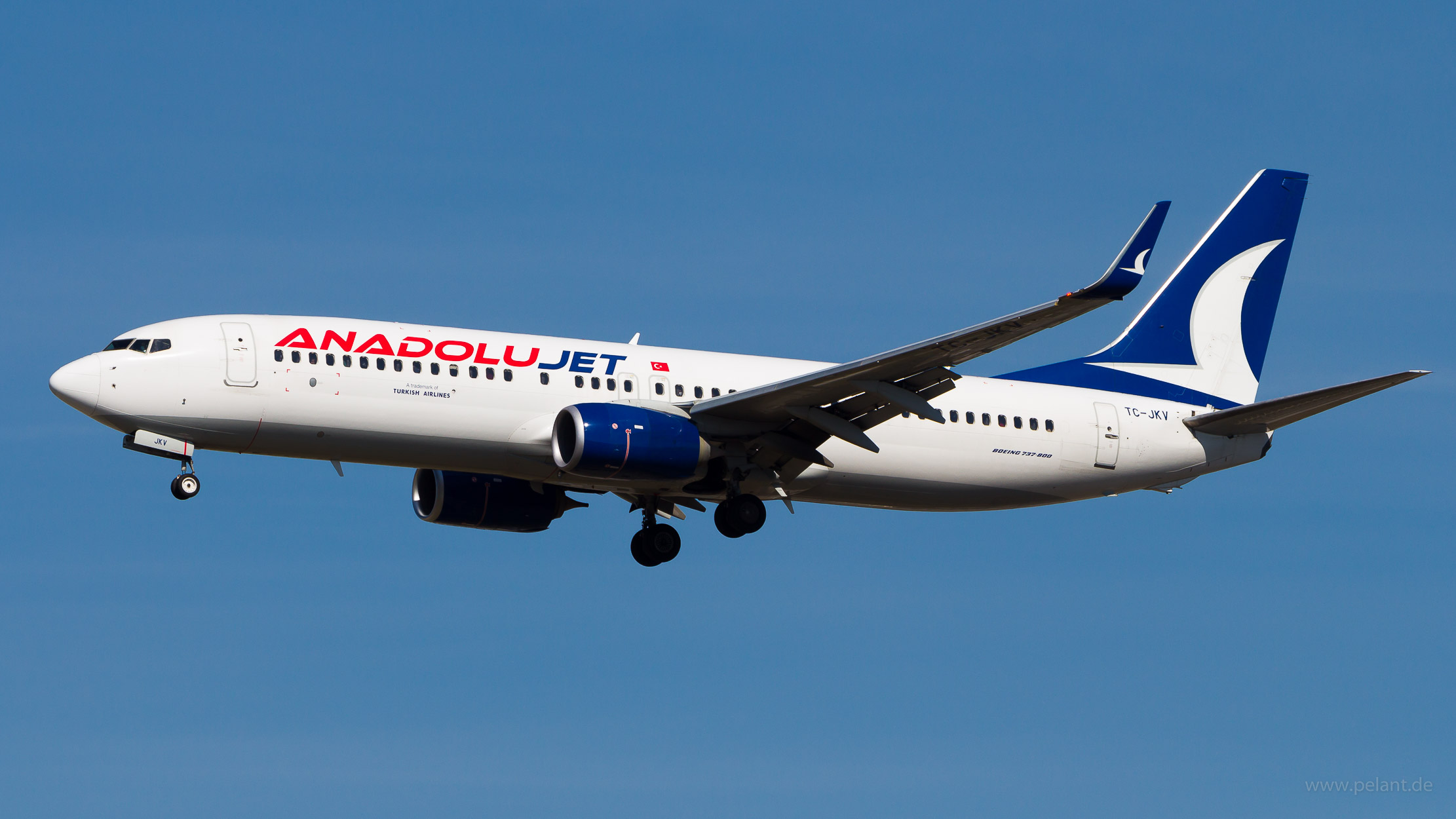 TC-JKV AnadoluJet Boeing 737-8Q8 in Frankfurt / FRA