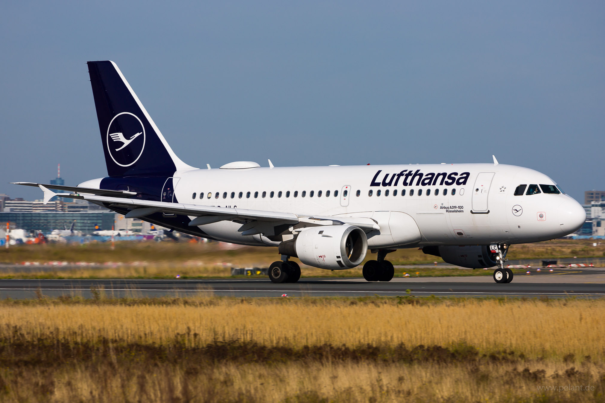 D-AILC Lufthansa Airbus A319-114 in Frankfurt / FRA