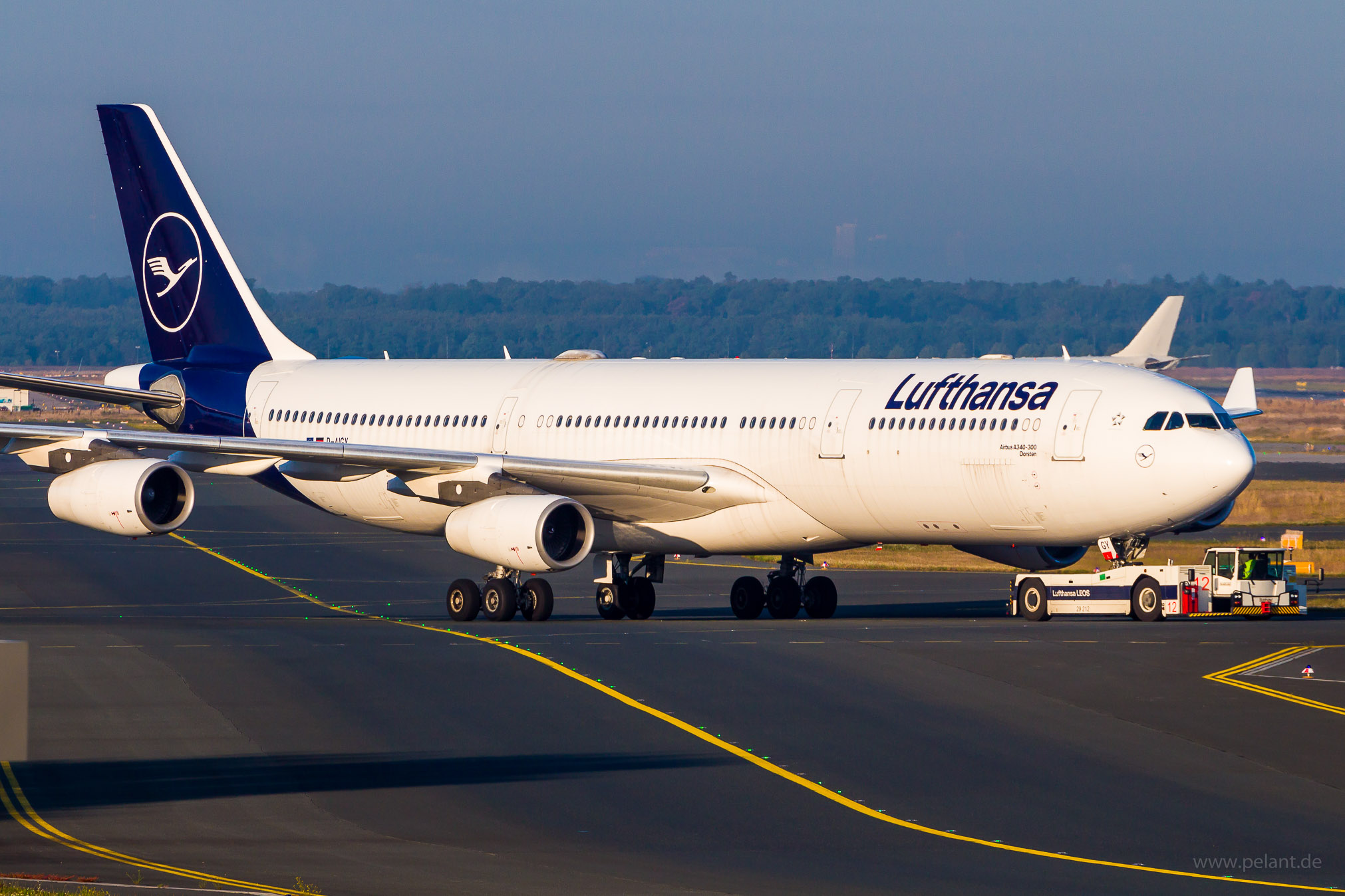 D-AIGY Lufthansa Airbus A340-313 in Frankfurt / FRA