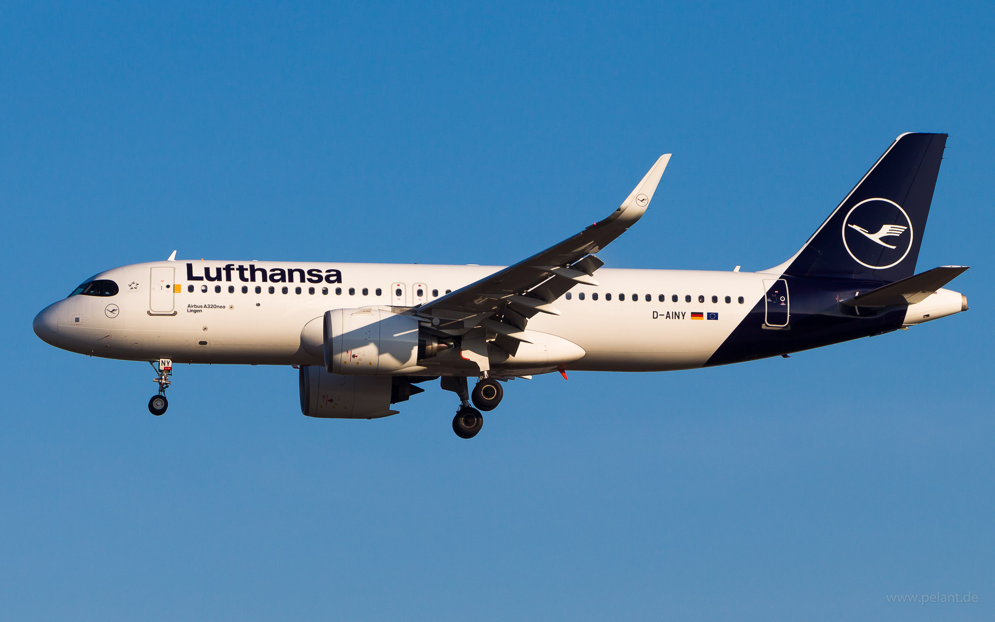 D-AINY Lufthansa Airbus A320-271N in Frankfurt / FRA (Lovehansa Livery)